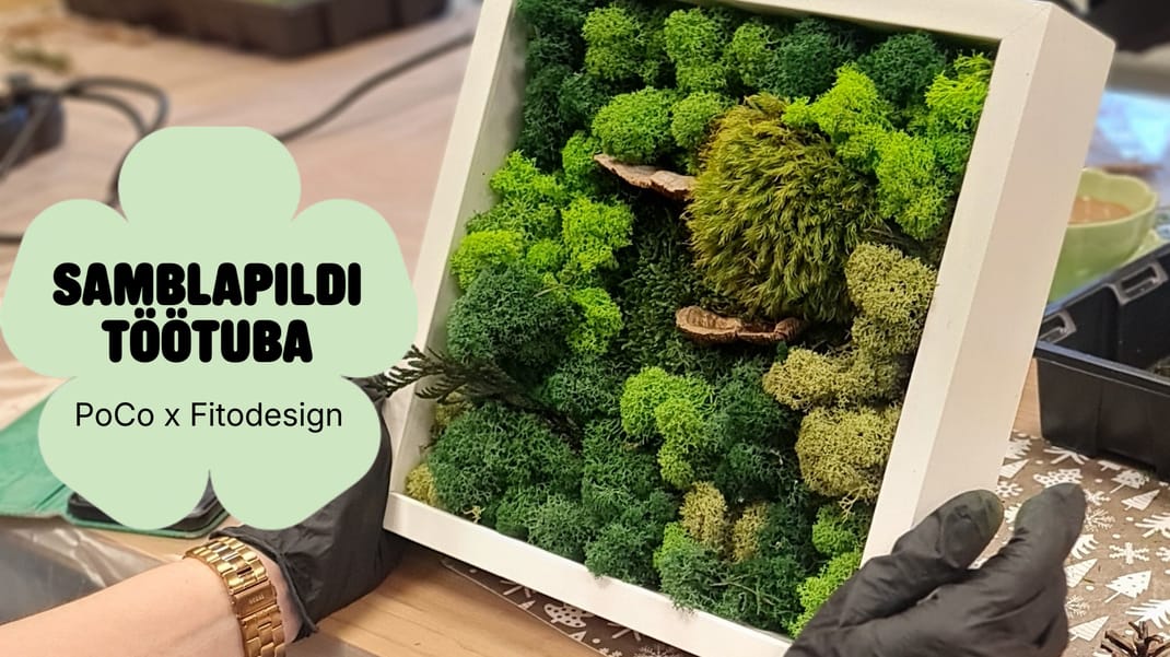 PoCo x Fitodesign: Samblapildi töötuba
